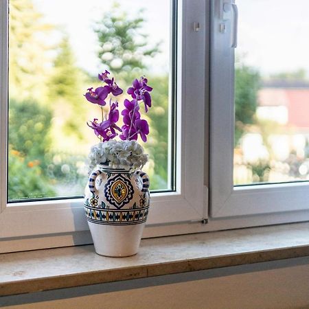 Jung 1 Apartment Neukirch  Екстериор снимка